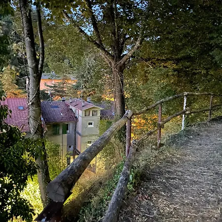 Novecento Luxury&spa 4 Stelle Montese