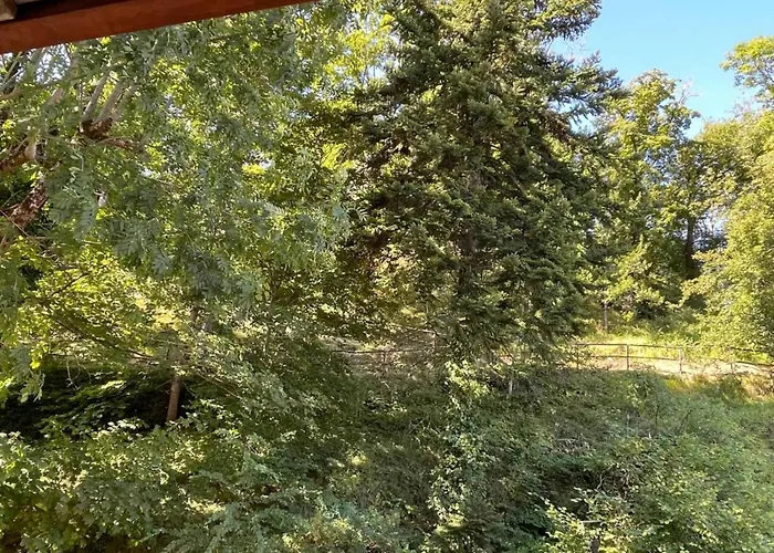 Novecento Luxury&spa 4 Stelle *